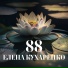 Елена Кухаренко