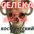 СЕЛЁКА