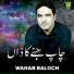 Wahab Baloch