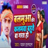Pawan Halchal