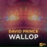 David Prince DJ