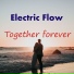 Electric Flow
