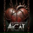 AiCat
