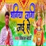 Vikash Bedardi