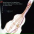 Rosario Bonaccorso Travel Notes Quartet