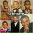 G Sharp feat. The Marvelous One, The Artist