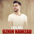 Ozhin Nawzad