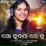 Sruti Nanda