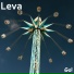 Leva
