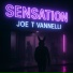 Joe T Vannelli