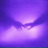 slntx, Slowed Audios, Pastel Ghost