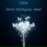 Edifon