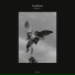 Gesaffelstein