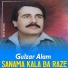 Gulzar Alam