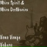 Mbira Spirit, Mbira DzeNharira