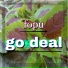 fopu
