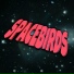 Spacebirds & Microbit Project