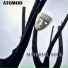 ATOMOD