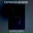 Synthy Lights