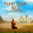 Shabbir Irfan