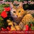 RelaxMyCat, Cat Music Dreams