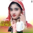 Aslam Singer Deadwal, Salim Tighra