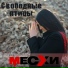 ВИА Месхи