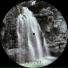 Fernie