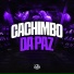 MC NILMAR, MC M4, Dj Gordinho da Vf