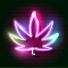 DJ 55BEATZ