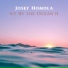Josef Homola
