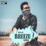 Breezu Saikia, Binod Bio Pegu