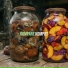 KOMPOT