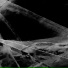 Anton Ryazanov Project