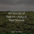 The Sleep Specialist, Natureza, Naturaleza Sonidos