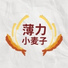 薄力小麦子