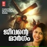 Renjini Jose