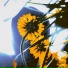SUNSAY
