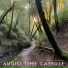 Audio Time Capsule