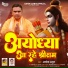 Ashok Amrit