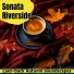 Sonata Riverside
