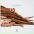 Jens Bond & Benno Blome