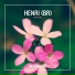 Henri