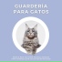 Musica para Gatos