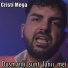 Cristi Mega