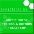Arctic Quest