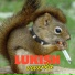 LUKISH