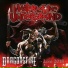 Dragonsfire