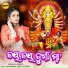 LP Ananya