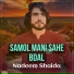 Nadeem Shaida